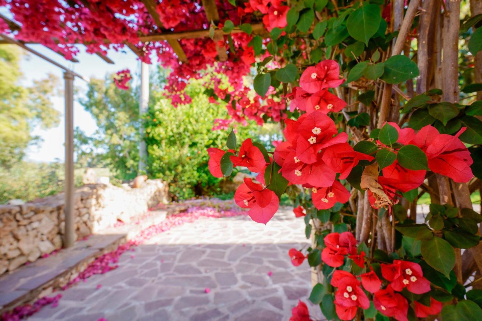 Agriturismo La Genziana Alghero Extérieur photo